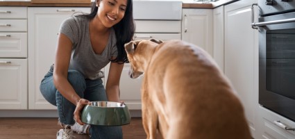 BlogImages/Women-feeding-dog.jpg
