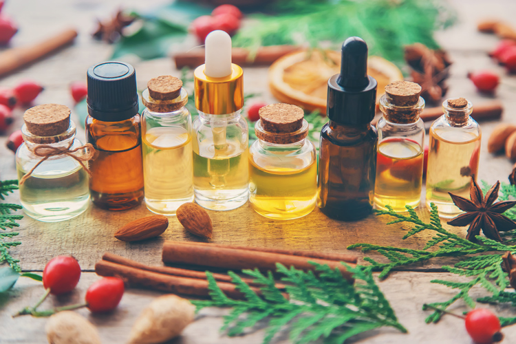 Essential oils in brown and clear bottles surround by twigs, cinnamon sticks, and more.