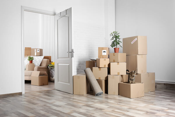 moving 1