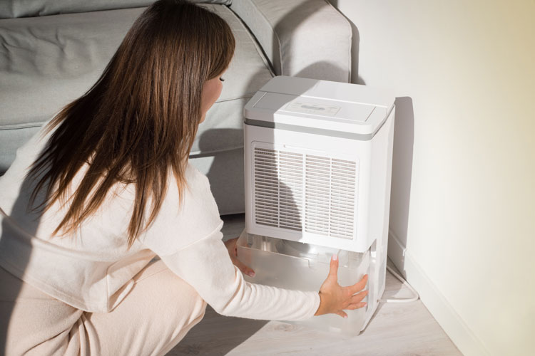 Woman dumping dehumidifier tank