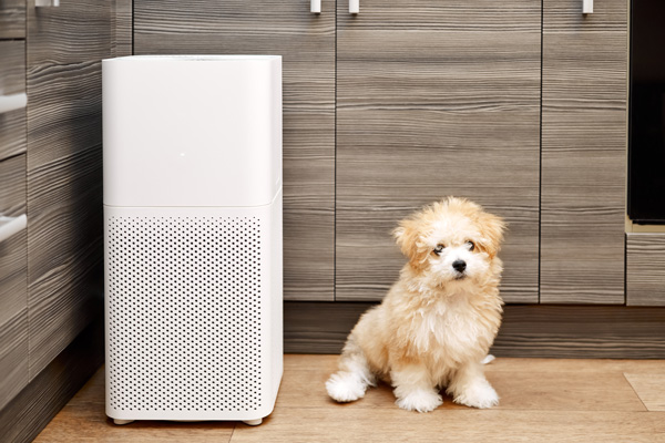 Dog sitting next to air purifier